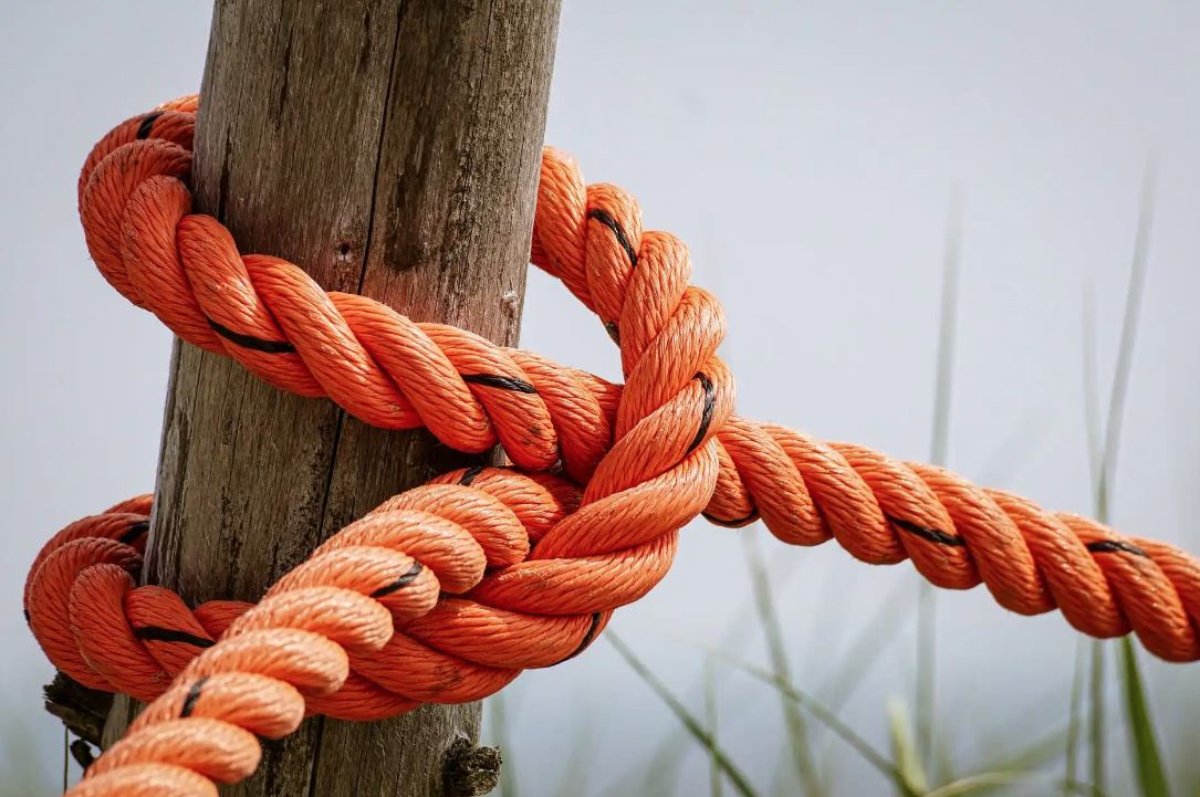Mastering the Knots That Hold the Wild Together